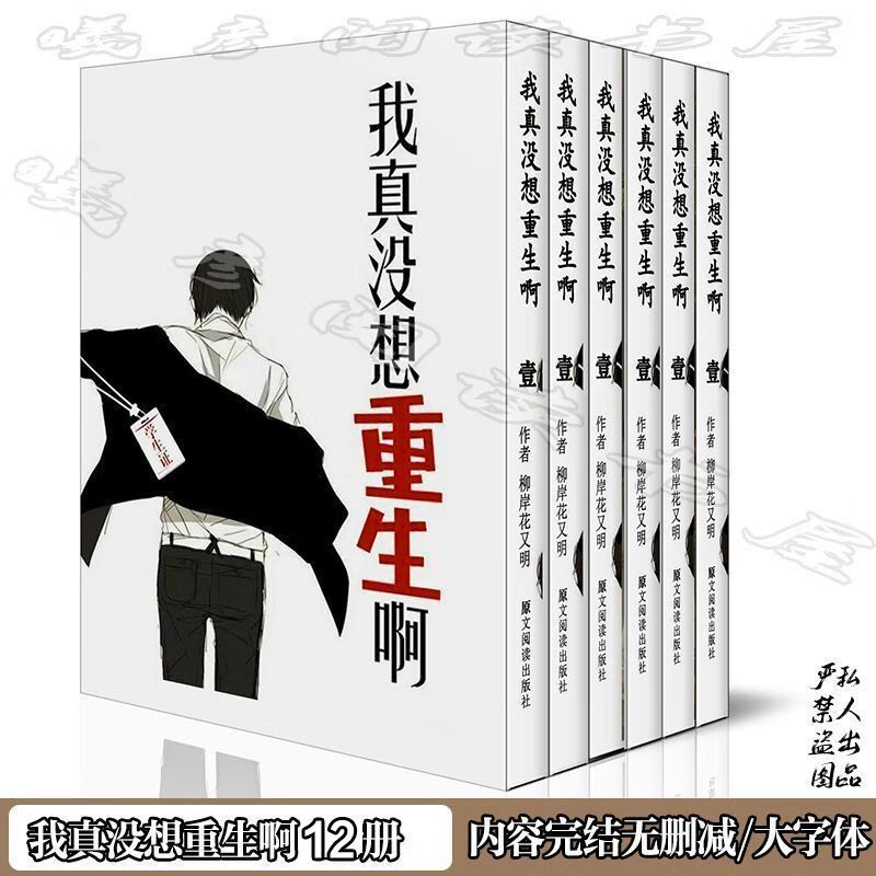 我真没想重生啊小说纸质书版全套全集完结无删减 番外12册 番外12册