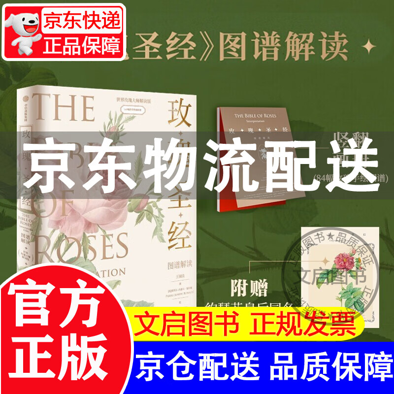 京东配送】玫瑰圣经 图谱解读 王国良著 无穷小亮张辰亮推 荐 赠玫瑰香味装饰画+玫瑰手绘图 谱媲美艺术品的玫瑰科普书 中信出版图书 《玫瑰圣经》