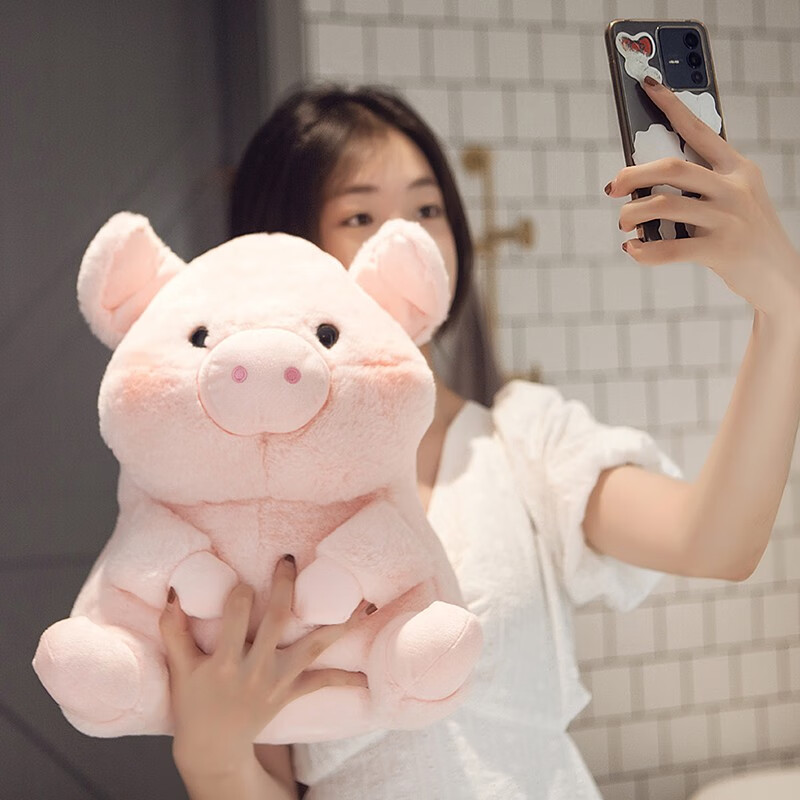 小白兔子公仔毛绒玩具玩偶女孩陪睡觉抱枕布娃娃孩子女生礼物 胖小猪