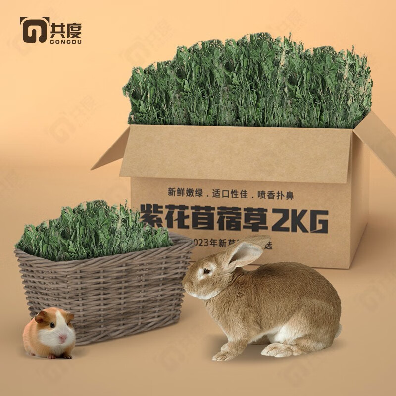 兔子食品历史价格走势查询|兔子食品价格走势图
