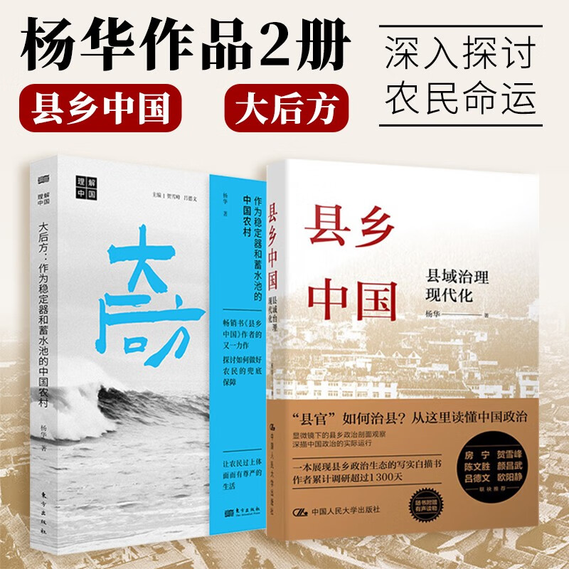 杨华作品2册 县乡中国 县域治理现代化+大后方 作为稳定器和蓄水池的中国农村 县乡政治农村经济