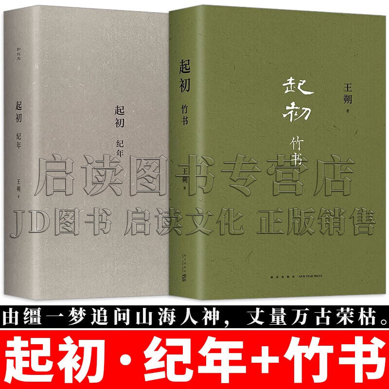 王朔全集 起初竹书/纪年 王朔新书 致女