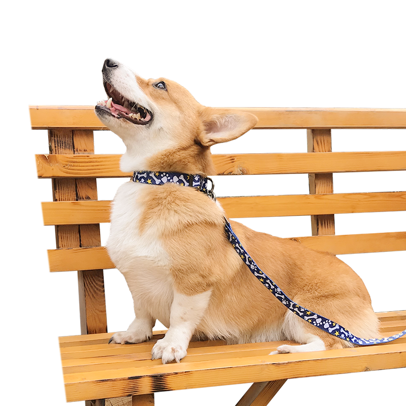 放心遛狗，选择纤宠优质牵引绳/胸背带|如何查看京东牵引绳胸背带历史价格