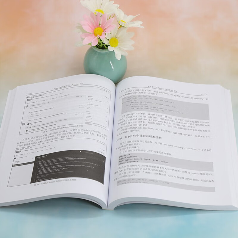 Python高效编程——基于Rust语言