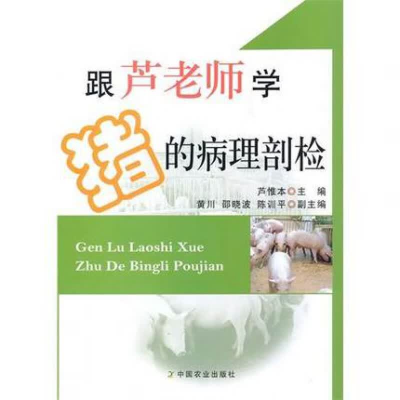 跟芦老师学猪的病理剖检 全彩版 芦惟本主编 猪解剖 猪病理解剖 养猪书籍  芦老师养猪书籍