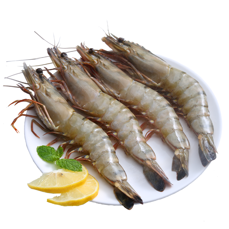 海鲜虾类价格走势及尚致品质保障