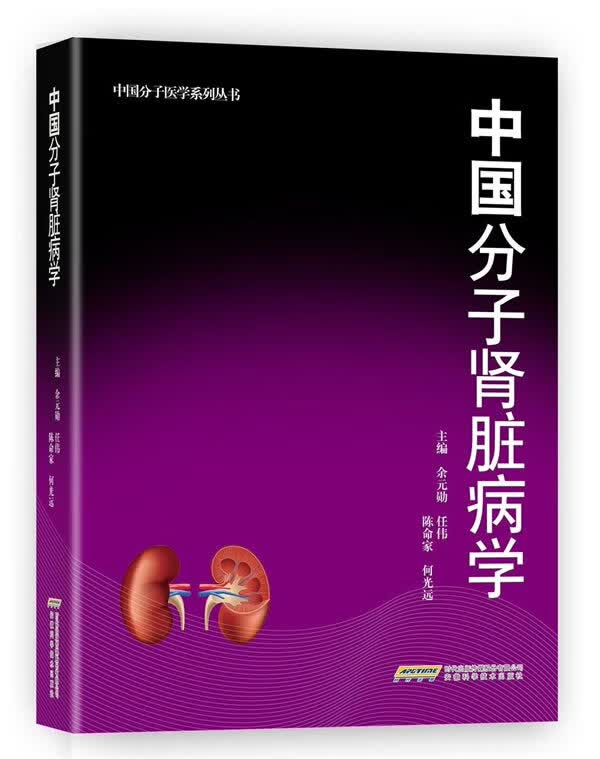 中国分子肾脏病学【正版图书】