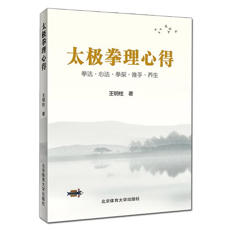 评2太极拳理心得杨氏太极拳张三丰王宗岳太极拳论太极拳书籍太极拳拳法身法桩功推手基础理论书籍太极拳基础入门