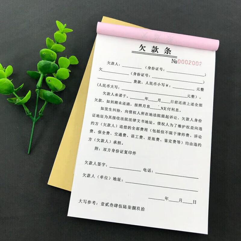 欠条正规模板正规欠款条货款欠款条凭证私人工程款专用单据欠款条 二