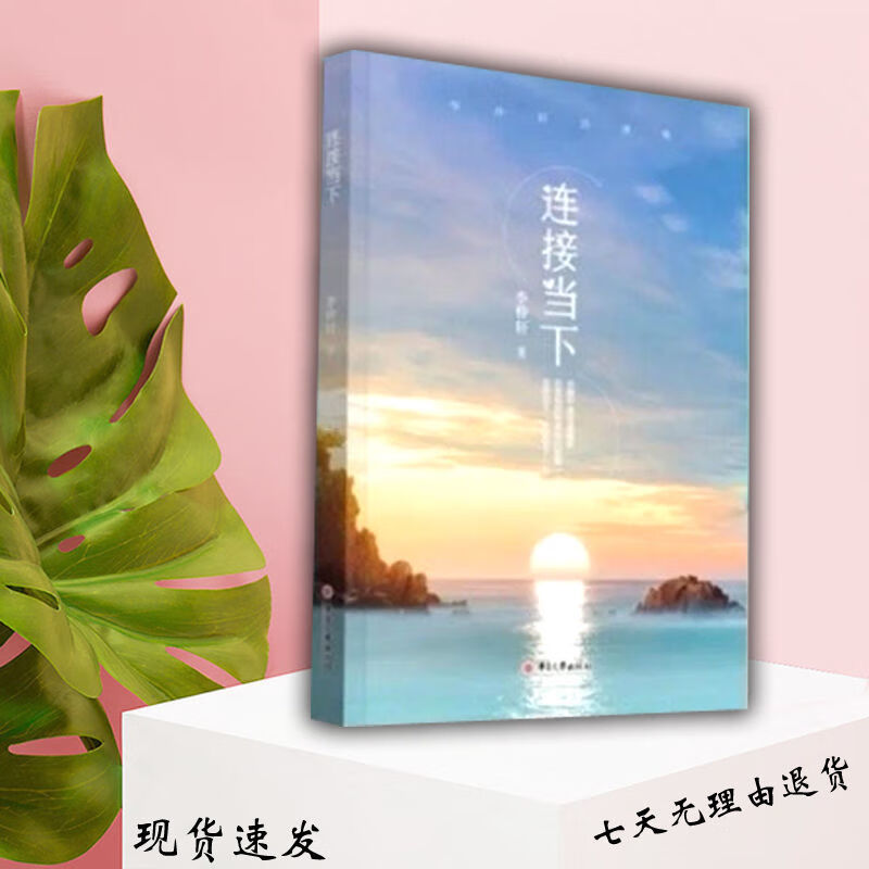 李仲轩老师书籍 显化 深入自己 连接当下