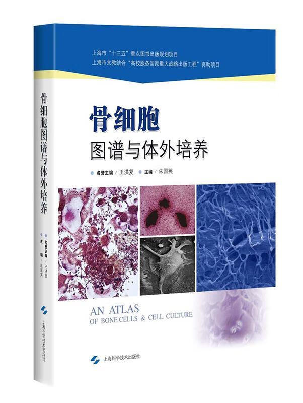 骨细胞图谱与体外培养 朱国英 编【正版】