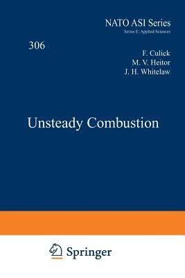 预订 Unsteady Combustion