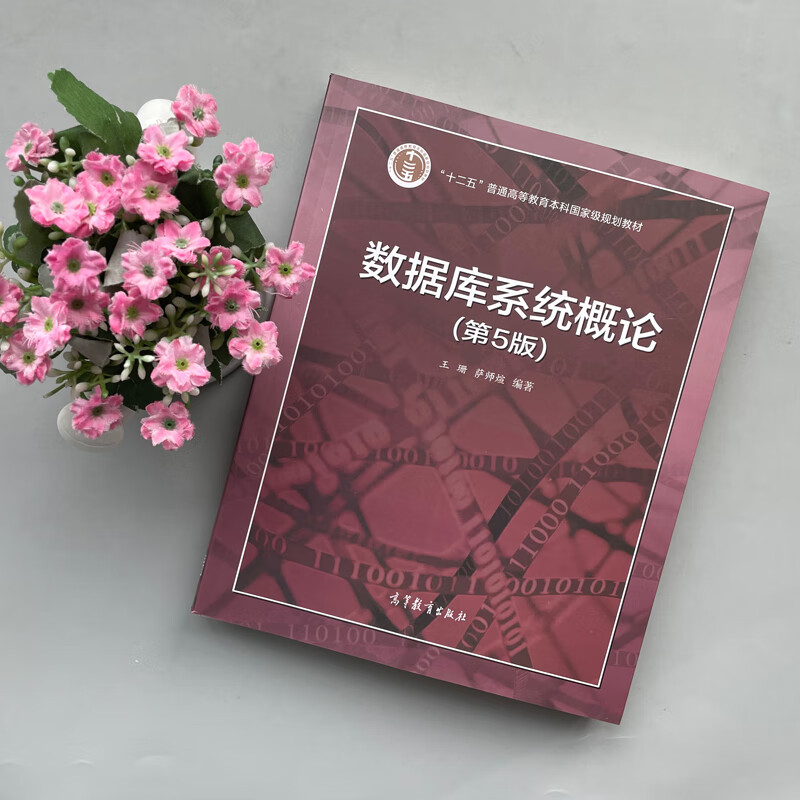现货正版数据库系统概论 第五版第5版 十二五普通高等教育本科规划