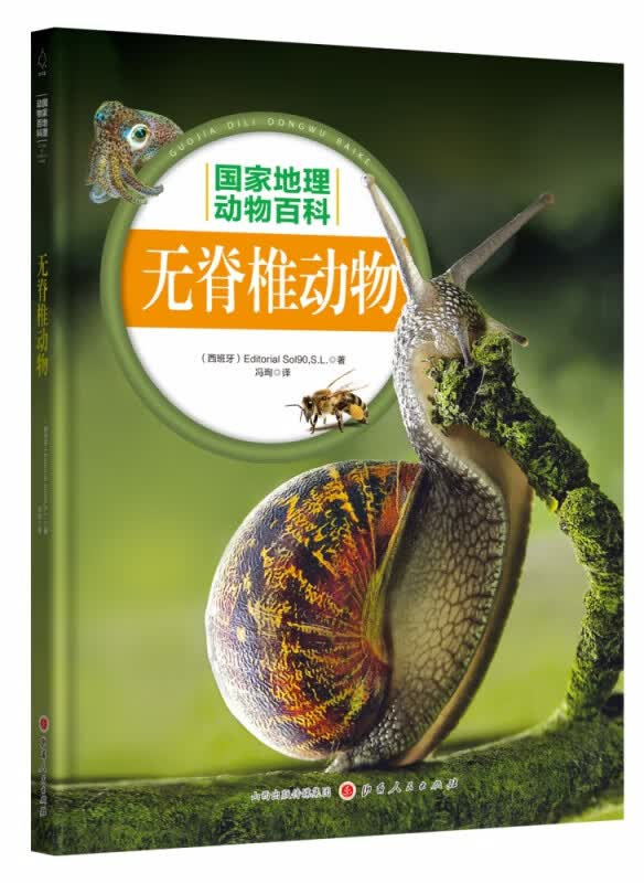 无脊椎动物