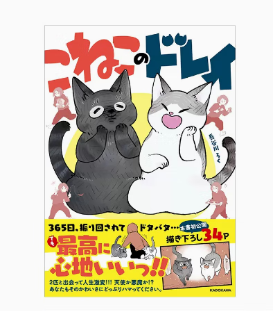 预售 日文原版 こねこのドレイ 猫奴 KADOKAWA 长谷川ろく 猫咪画册画集艺术类书籍