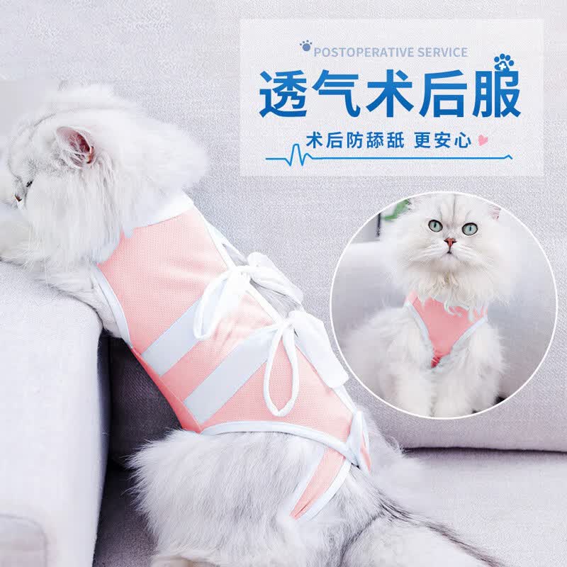 憨憨乐园猫咪绝育服母猫手术服衣服透气戒奶服断奶服公猫防舔术后恢复服M怎么样,好用不?