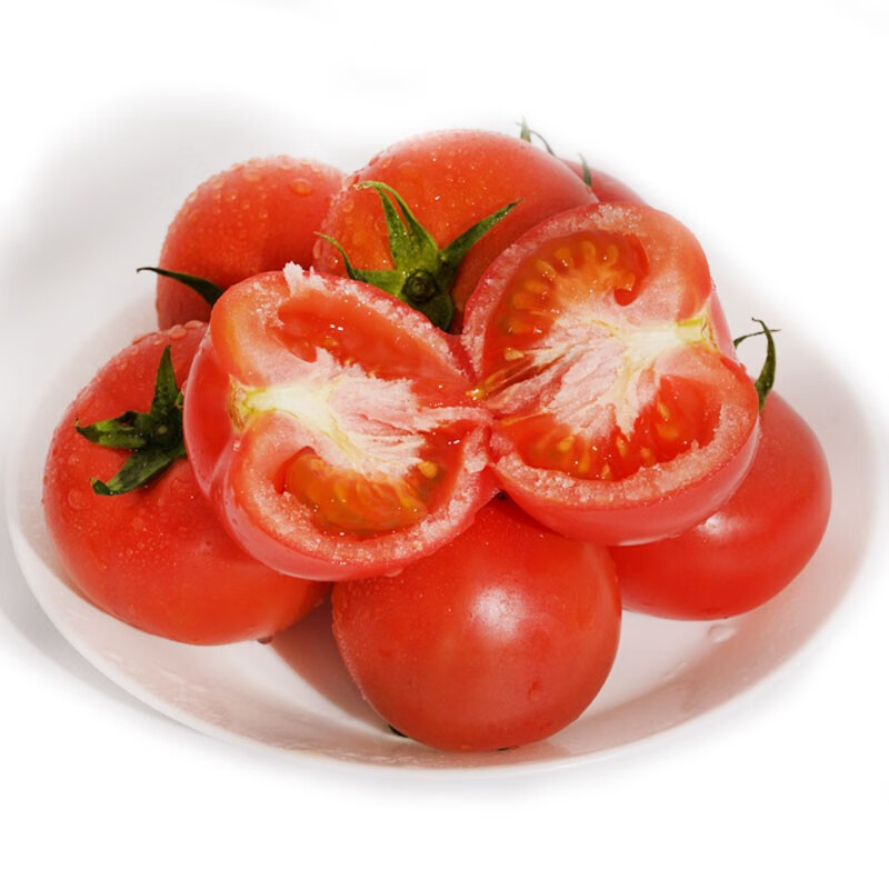 密云农业 本地现摘番茄5斤 新鲜蔬菜 农家生态种植 西红柿