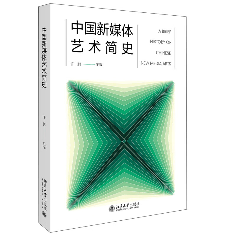 中国新媒体艺术简史 许鹏 著
