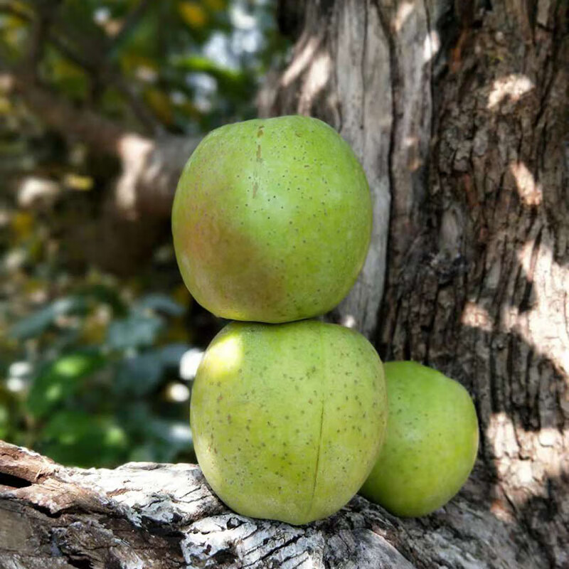 春耕牛青森王林苹果大连王林青苹果新鲜时令水果脆甜多汁 2斤
