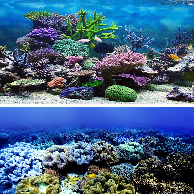哈宝哈贝【海底世界珊瑚沙滩】定做高清鱼缸背景纸贴纸字画3d浮雕龙图