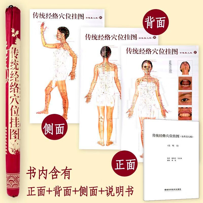 传统经络穴位挂图女性真人版每张尺寸58*78厘米人体穴位图标准大挂图