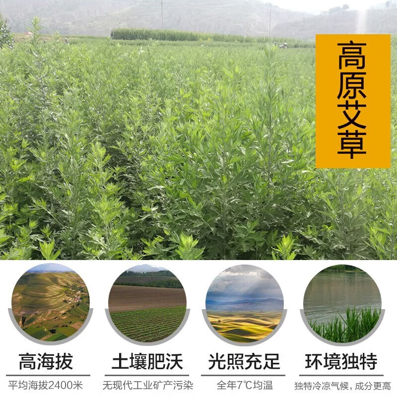 蕲益堂 艾草泡脚包泡澡药包艾叶饼红花老生姜沐浴包足浴粉剂湿寒气胖瘦 艾草足浴包2袋(10克*100包)