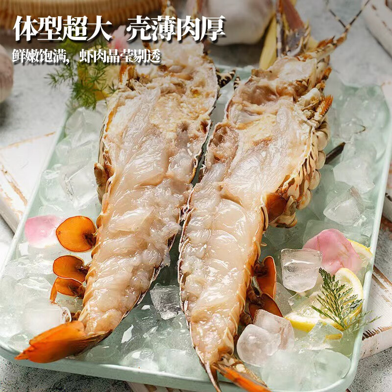 海鲜煌龙虾青龙虾大龙虾波士顿花龙虾海鲜鲜活冷冻大虾 400-500g 1只袋装生鲜水产送礼佳品青龙虾500-600g/只主图5
