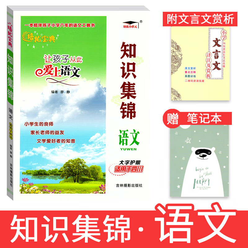 【四川专版】新版培优宝典知识集锦语文四川专版小升初小考语文基础知识大全六年级语文复习 大字护眼