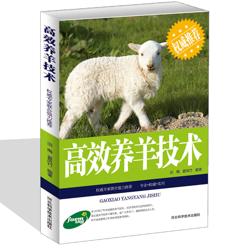 养羊书籍 高效养鸡技术 养殖与疾病防治 养羊技术大全 山肉羊绵羊黄羊疾病预防诊断生态饲养 农业畜牧