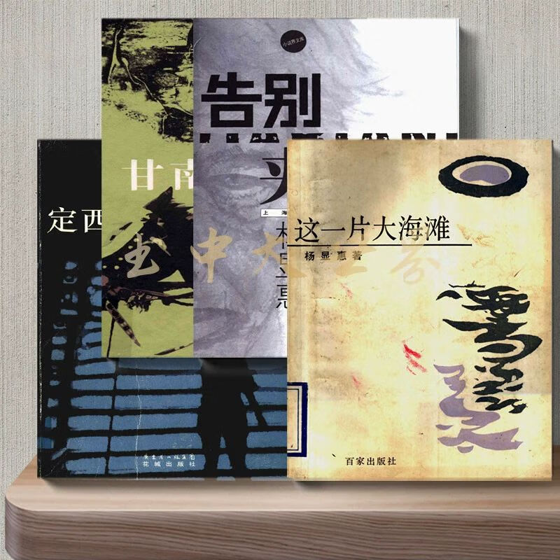 杨显惠作品集4册这一片大海滩.甘南纪事.定西孤儿 .定西孤儿 .