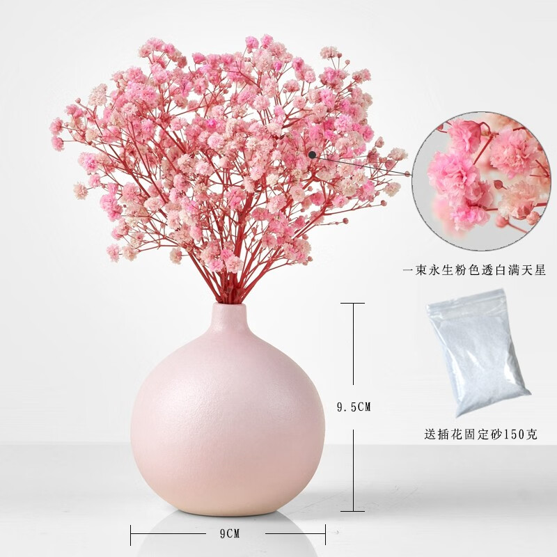 哪个App有干花价格曲线|干花价格比较