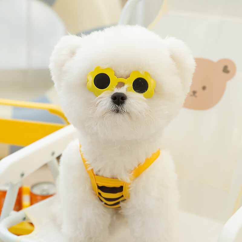 狗狗衣服夏季可爱蜜蜂造型泳装吊带猫咪两脚泳衣宠物比基尼泰迪狗 黄