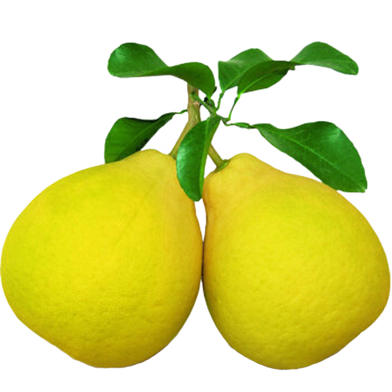 ԰᡿÷ɳϸµˮ㶫÷ ɽơװ50