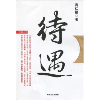待遇【正版好书，下单速发】