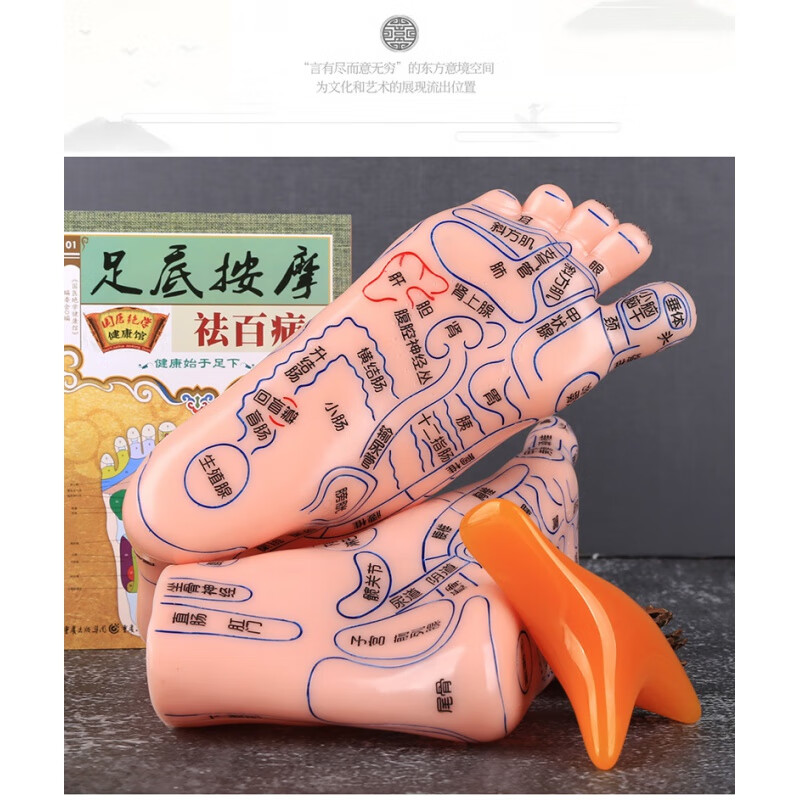 京东中医保健商品推荐:足部穴位模型高清按摩器,舒缓脚部疲劳