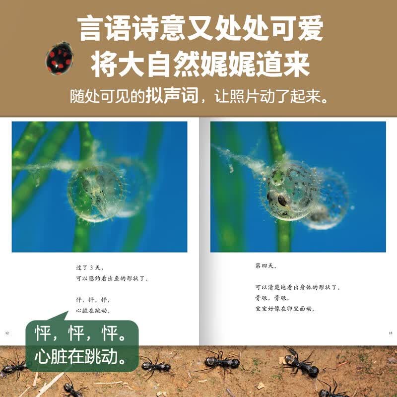 生命的故事 第1辑 高清实拍小自然昆虫动物科普 儿童绘本3-6岁幼儿园科学百科知识图书课外阅读 《人民日报》推荐 生命的故事 第1辑10册
