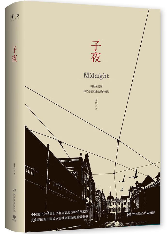 子夜茅盾湖南文艺出版社9787540491352 中小学教辅书籍