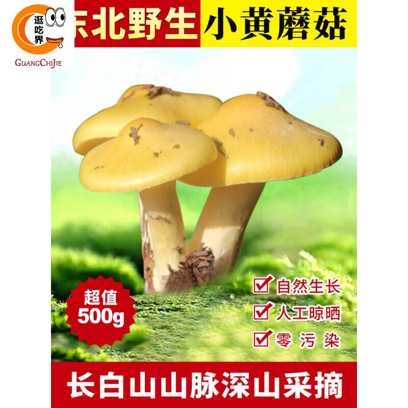 东北特产小黄蘑菇特干货干松蘑500g新鲜阿尔山黄油蘑煲汤菌 500g