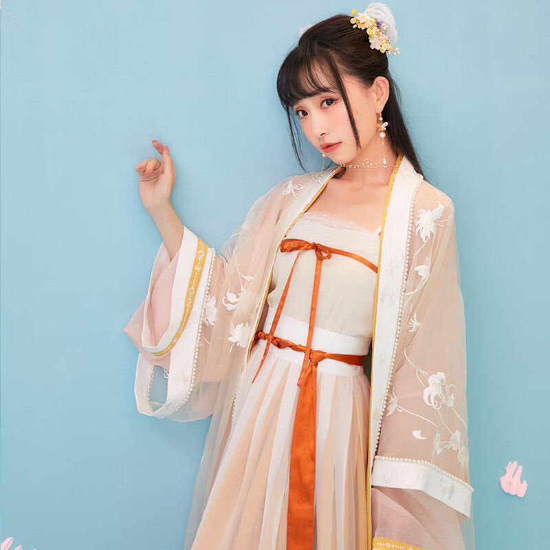 匠尺刺绣直领对襟双层褙子齐腰汉服女气质女装潮 直领对襟长衫 外层