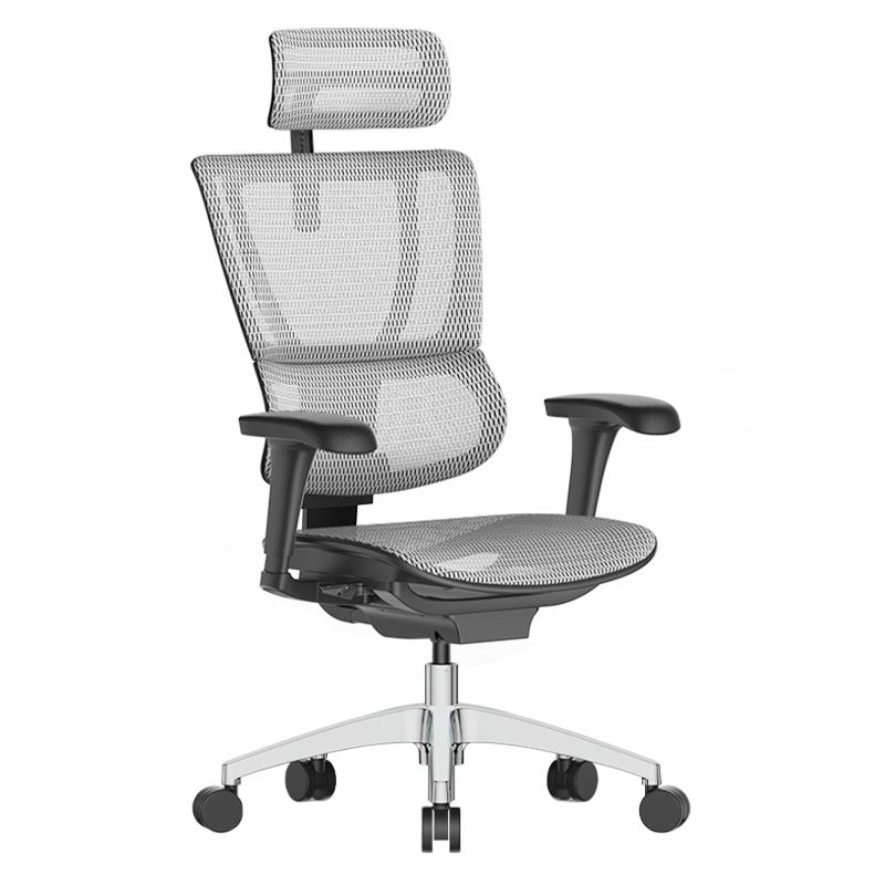 Ergonor 保友办公家具 优 人体工学电脑椅 灰色+银白色 旗舰版