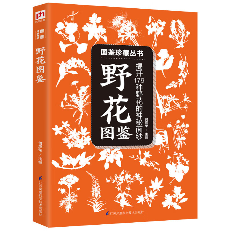 野花图鉴野花图鉴野花的基本知识从生活形态植物形态别名图片展示详细