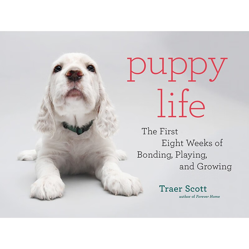 预订 英文原版 puppy life 小狗生活 princeton architectural press