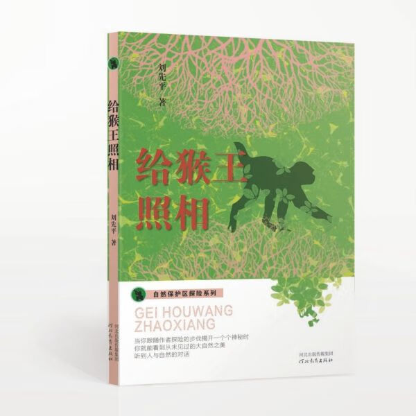 在自然保护区探险系列——给猴王照相