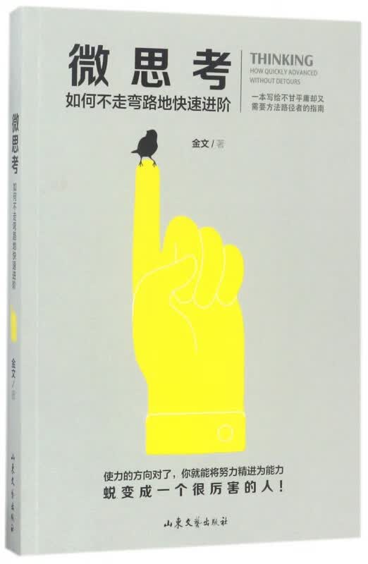 微思考(如何不走弯路地快速进阶)