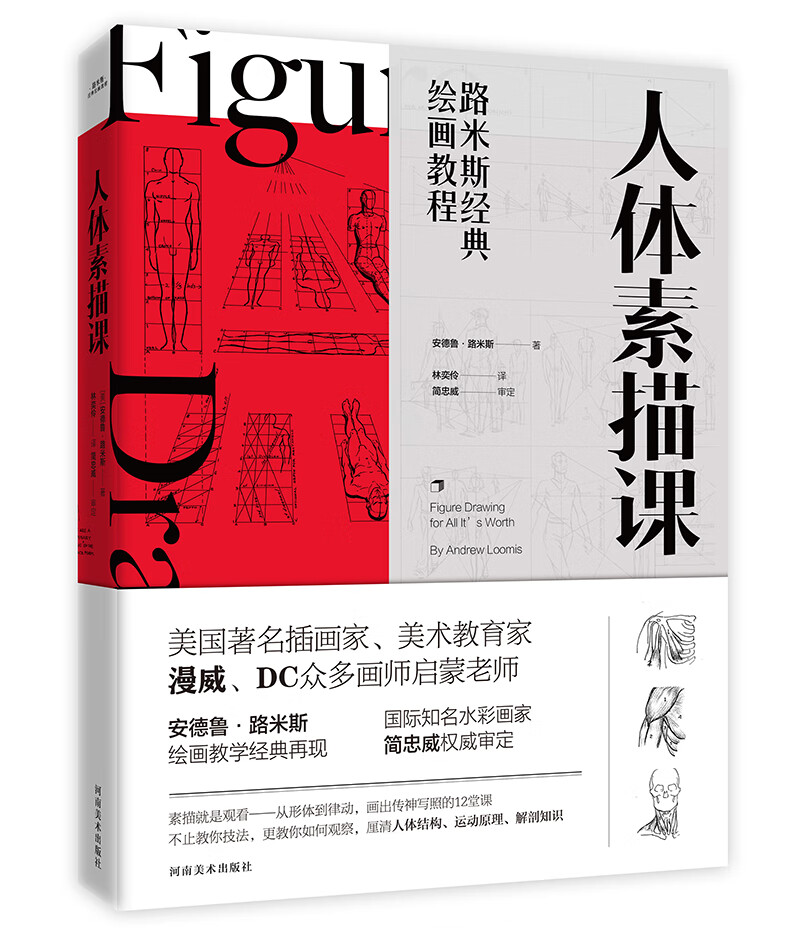 路米斯经典绘画教程-人体素描课