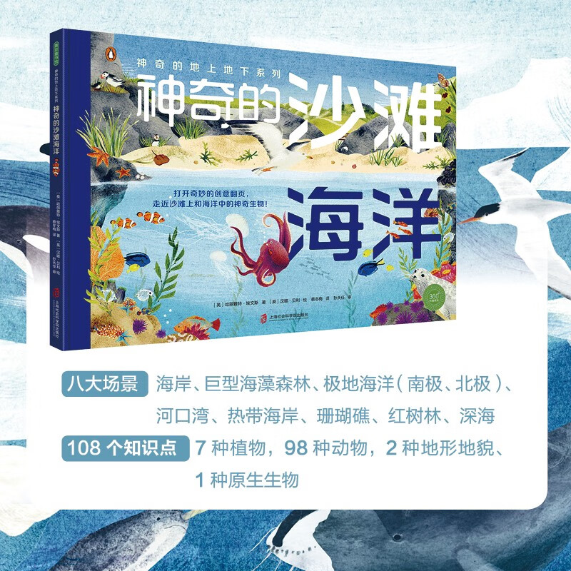 神奇的地上地下系列（神奇的沙滩海洋+神奇的黄昏黎明）创意翻页，自然科普自然观察美景图画科普启蒙详情图