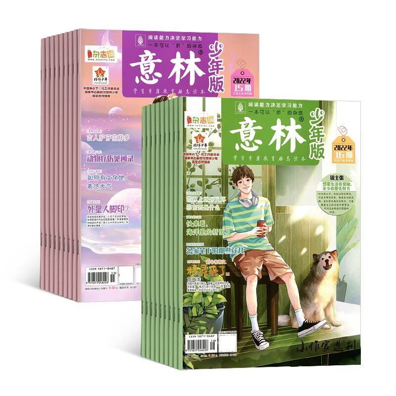 【半年订阅】包邮 意林少年版2022年12月-2023年5月 共12期 半年自选 杂志铺 中小学生校园学习辅导人生励志 2022年10月-2023年3月