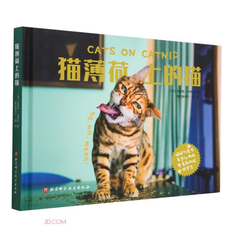 猫薄荷上的猫