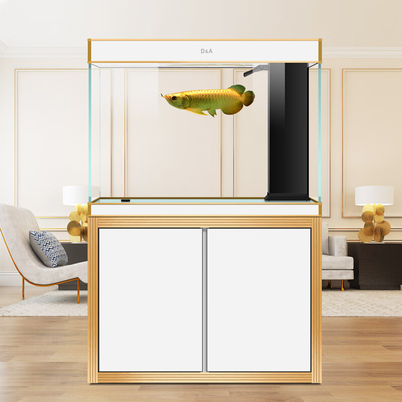 德克(d&a)鱼缸怎么样?使用一个月感受分享!mdsunhamwr