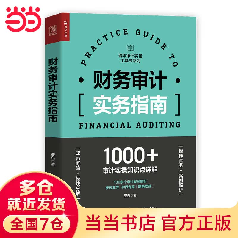 财务审计实务指南